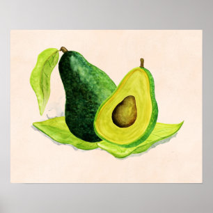 Green Avocado Still Life Frucht in Wasserfarben Poster
