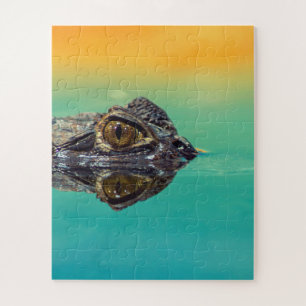 Green Baby Crocodile in Water mit Blau und Orange Puzzle
