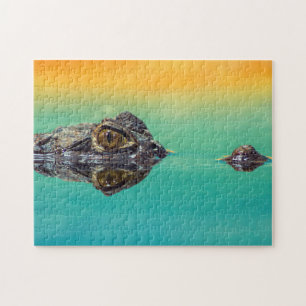 Green Baby Crocodile in Water mit Blue und Orange Puzzle