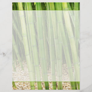 Green Bamboo