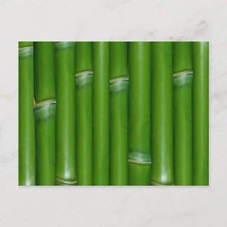 Green Bamboo Postkarte