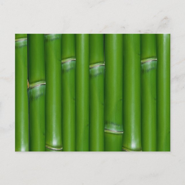 Green Bamboo Postkarte (Vorderseite)