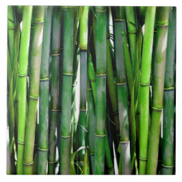 Green Bamboo Stalks Naturfotografie Fliese