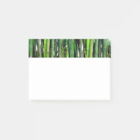 Green Bamboo Stalks Naturfotografie