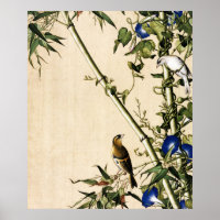 Green Bamboo und Morning Glory Fine Art