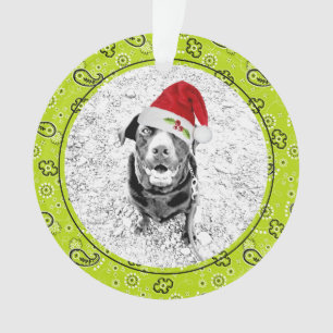 Green Bandana Pet Foto NAME Weihnachtsspass Ornament