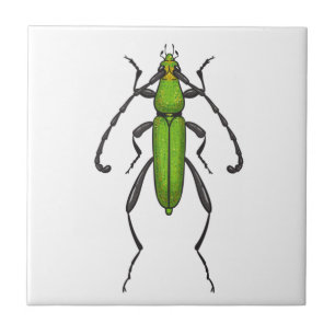 Green beetle fliese