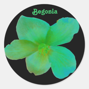 Green Begonia individuell anpassbarer Aufkleber