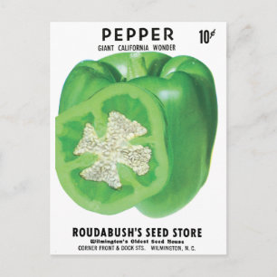 Green Bell Pepper Seed Packung Postkarte