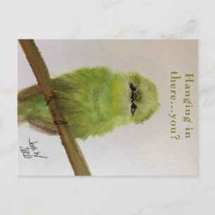 Green Bird Postcard "Da einhängen..Sie? Postkarte