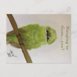 Green Bird Postcard "Hang da rein ... du? Postkarte