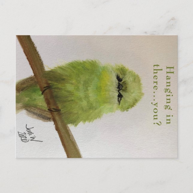 Green Bird Postcard "Hang da rein ... du? Postkarte (Vorderseite)
