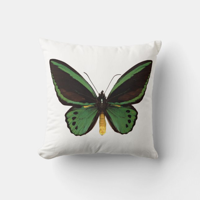 Green Birdwing Butterfly Kissen (Vorderseite)