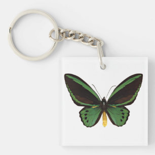 Green Birdwing Butterfly Schlüsselanhänger