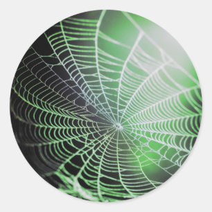 Green Black Creepy Spooky Spione Web Runder Aufkleber