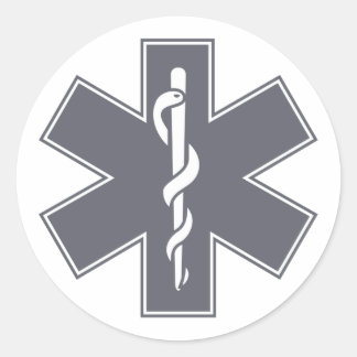 Green Black Gray Lila Nurse EMS Star of Life Runder Aufkleber