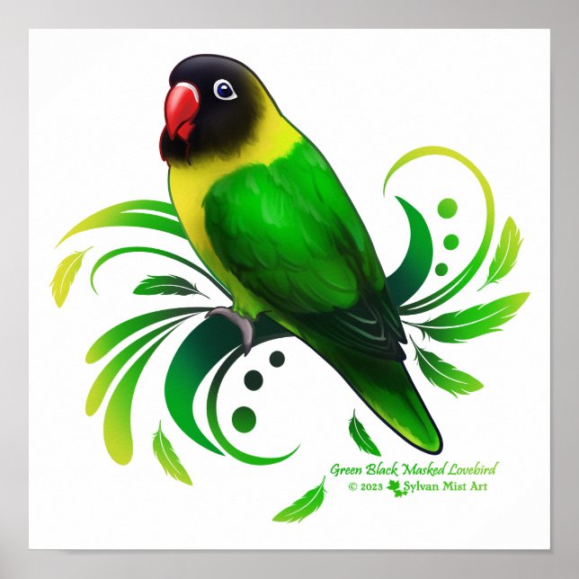 Green Black Masked Lovebird Poster (Vorne)