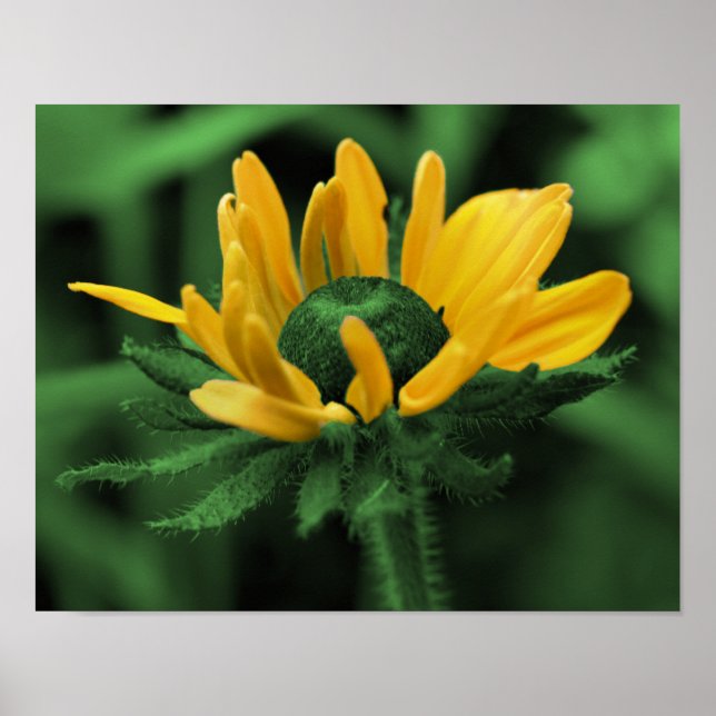 Green Black Mit Augen Susan Abstrakt Blume Art Poster (Vorne)