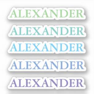 Green Blue Name Clear Back to School Aufkleber