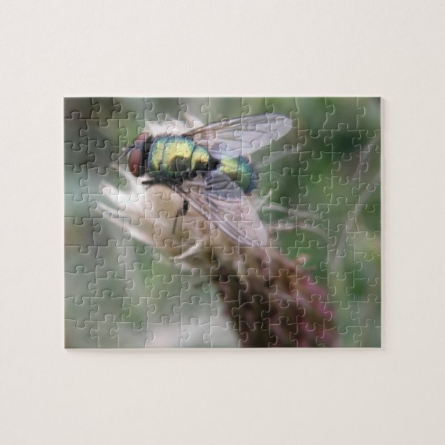 Green Bottle Fly Macro Puzzle (Horizontal)