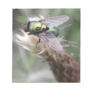 Green Bottle Fly Makro Notepad Notizblock