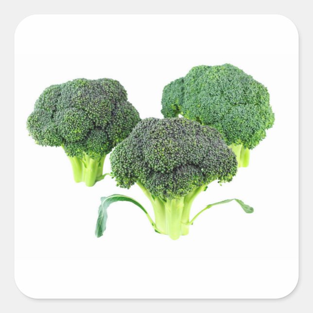 Green Broccoli Kronen auf Weiß Quadratischer Aufkleber (Vorderseite)