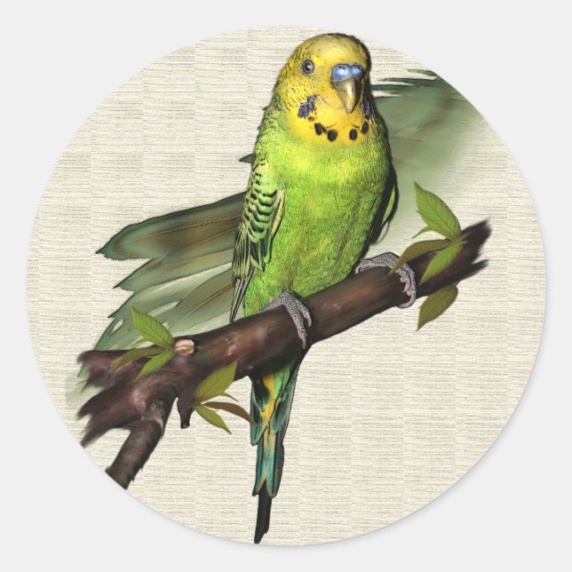Green Budgie Stickers (Vorderseite)