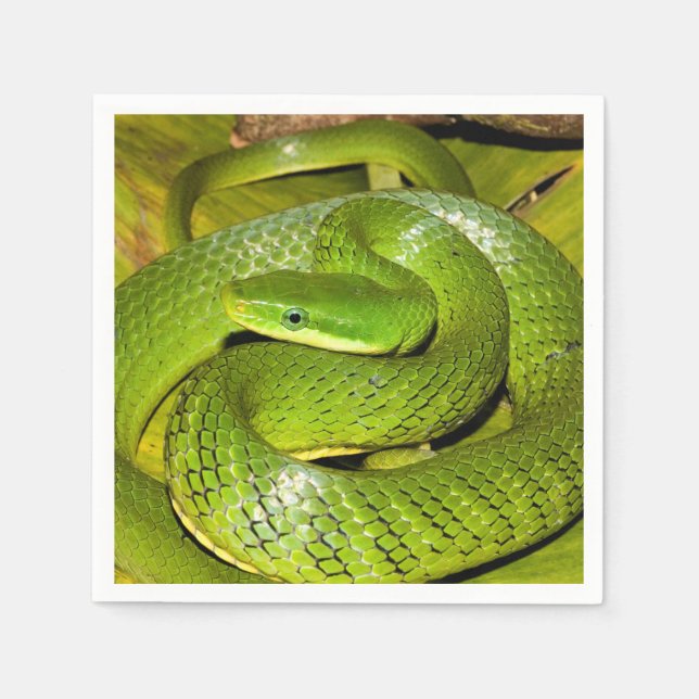Green Bush Rat Snake Serviette (Vorderseite)