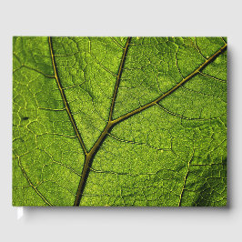 Green Butterbur Leaf Gästebuch