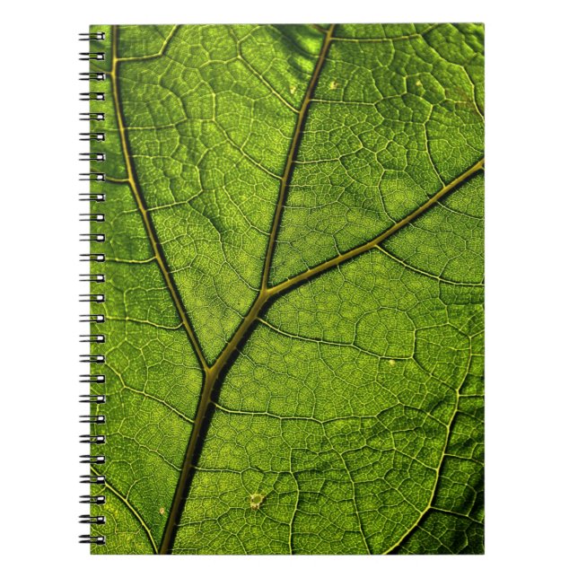 Green Butterbur Leaf Notizblock (Vorderseite)