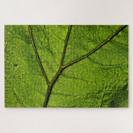 Green Butterbur Leaf Puzzle