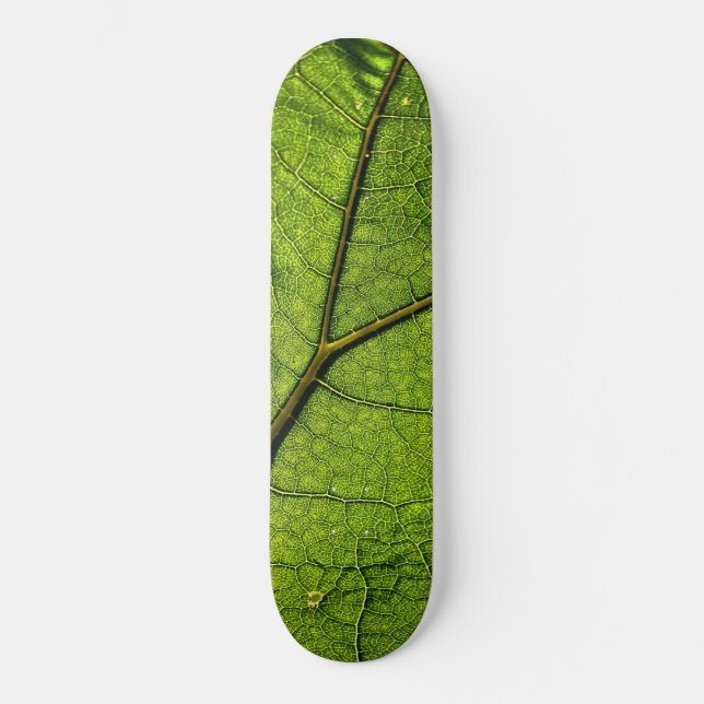 Green Butterbur Leaf Skateboard (Vorderseite)