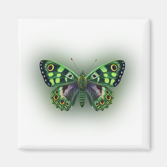 Green Butterfly Magnet (Vorne)