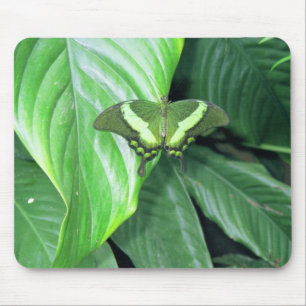 Green Butterfly Mousepad