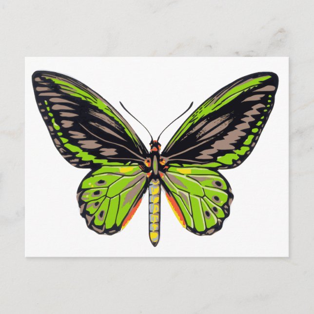Green Butterfly Postkarte (Vorderseite)