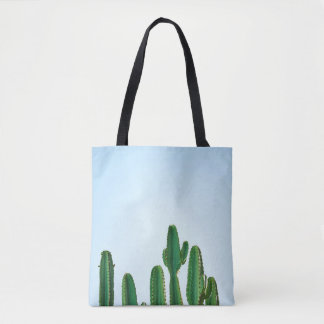 Green cactus plant in white background