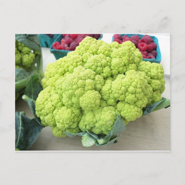 Green Cauliflower Postkarte (Vorderseite)