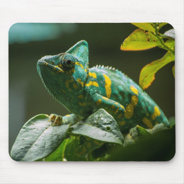 Green Chameleon Mouse Pad Mousepad (Vorne)