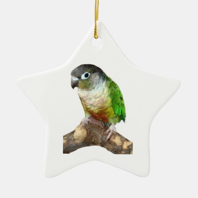 Green Cheek Conture Keramikornament (Vorne)