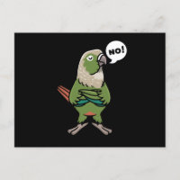 Green Cheek Conure Green Cheeked Parakeet