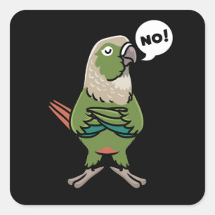 Green Cheek Conure Green Cheeked Parakeet Quadratischer Aufkleber