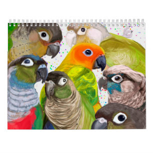Green Cheek Conure Parrot 2021 Kalender