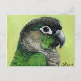 "Green Cheeked Conure" Bird Art Postcard Postkarte