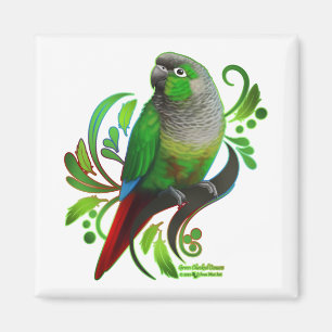 Green Cheeked Conure Magnet