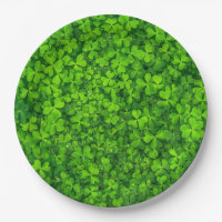 Green Clover Blätter mit Wassertropfen