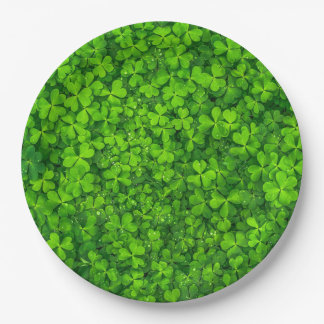 Green Clover Blätter mit Wassertropfen Pappteller