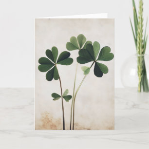 Green Clover Luck Simple Feiertagskarte