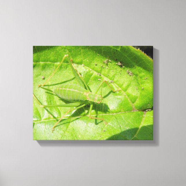Green Cricket Camouflage Canvas Print Leinwanddruck (Vorderseite)