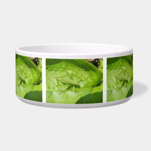 Green Cricket Camouflage Dog Bowl Napf