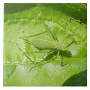 Green Cricket Camouflage Tile Fliese